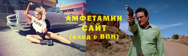 индика Краснослободск