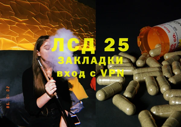 гашик Липки