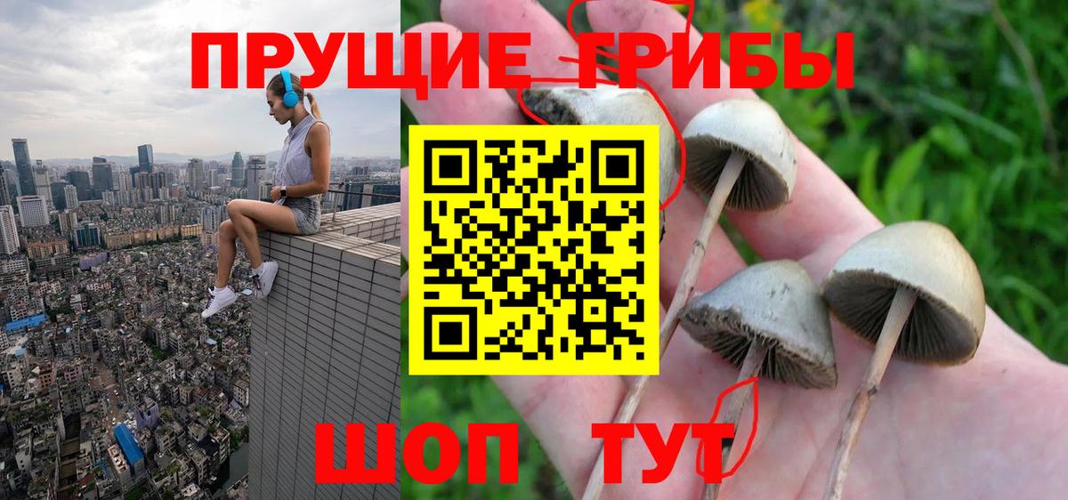 Кингисепп  Псилоцибиновые грибы прущие грибы  Галлюциногенные грибы мухоморы  наркошоп  Вход с VPN 